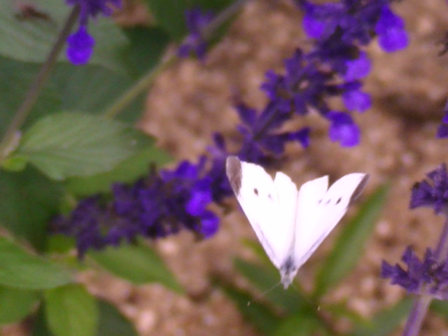 �`���E�`��