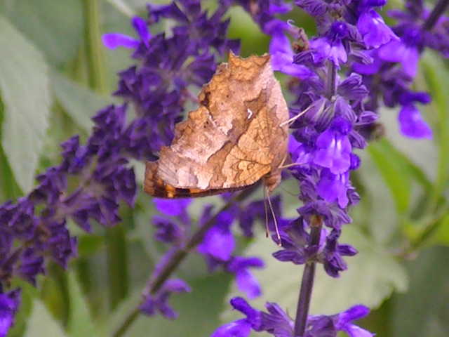 �`���E�`��