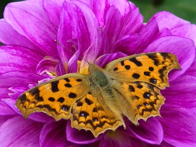 �`���E�`��