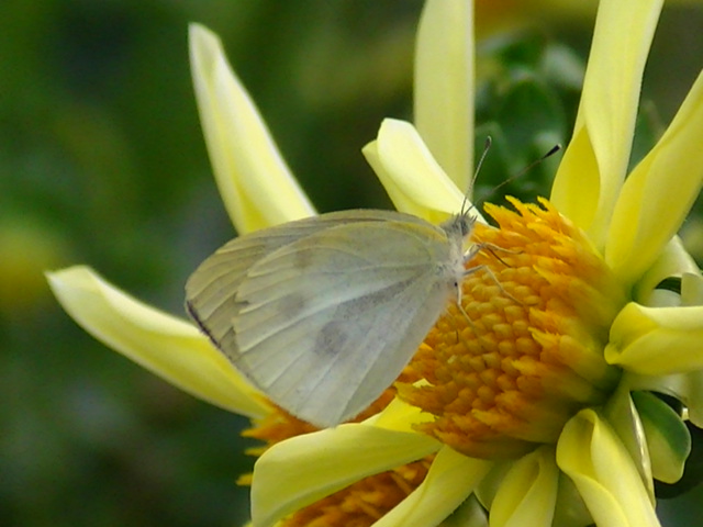 �`���E�`��