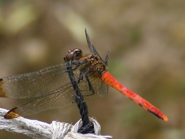 �`���E�`��