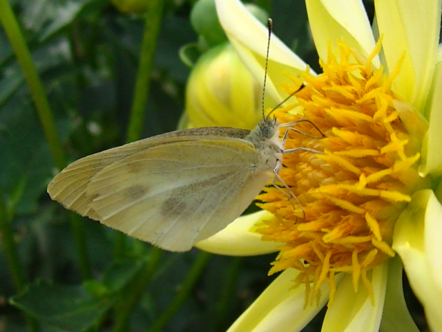 �`���E�`��