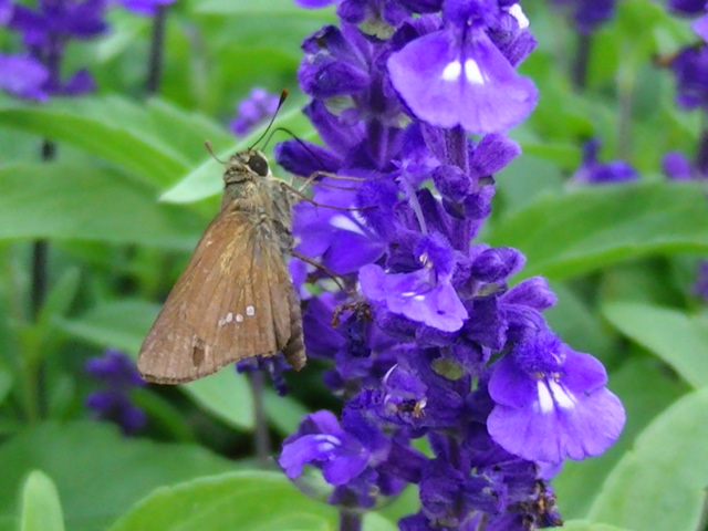 �`���E�`��