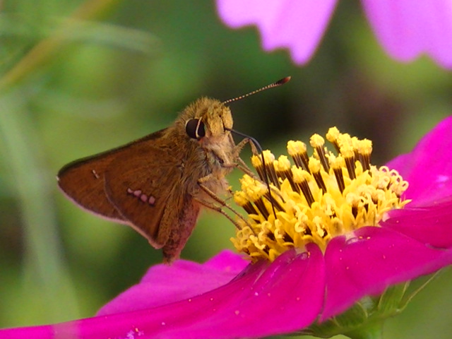 �`���E�`��