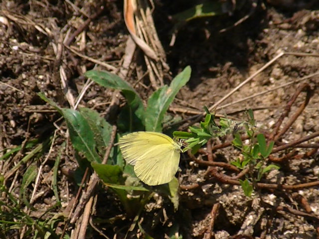 �`���E�`��