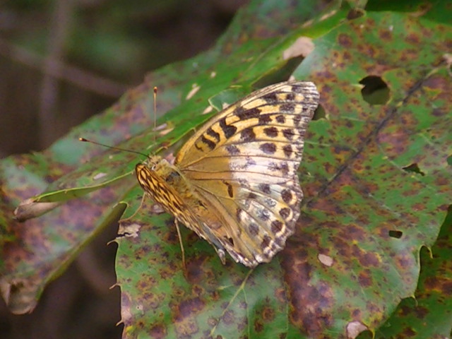 �`���E�`��