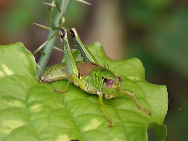 �`���E�`��