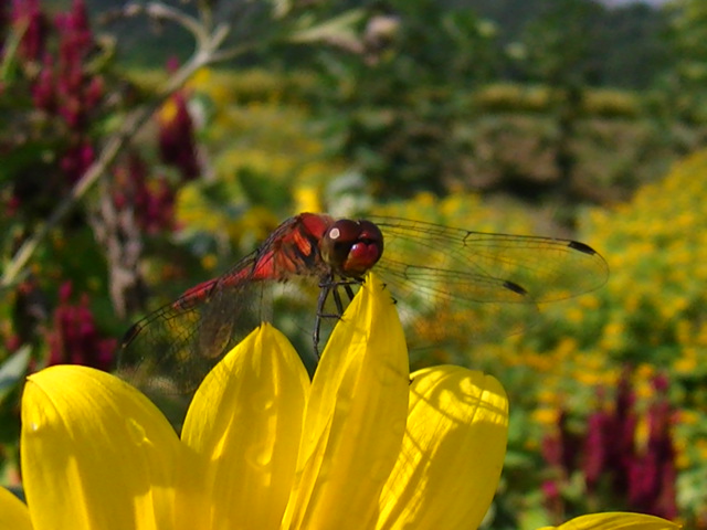 �`���E�`��