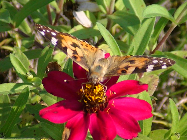 �`���E�`��