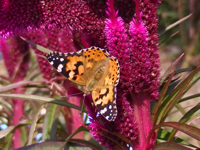 �`���E�`��