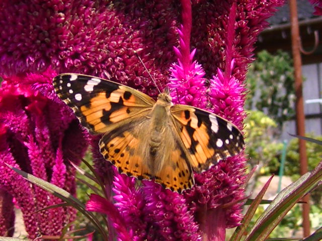 �`���E�`��