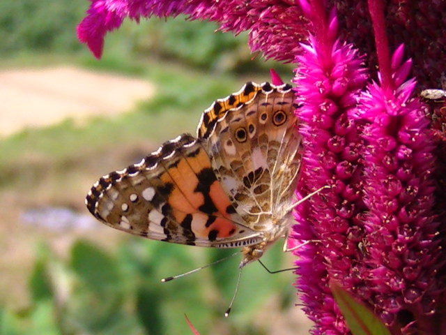 �`���E�`��