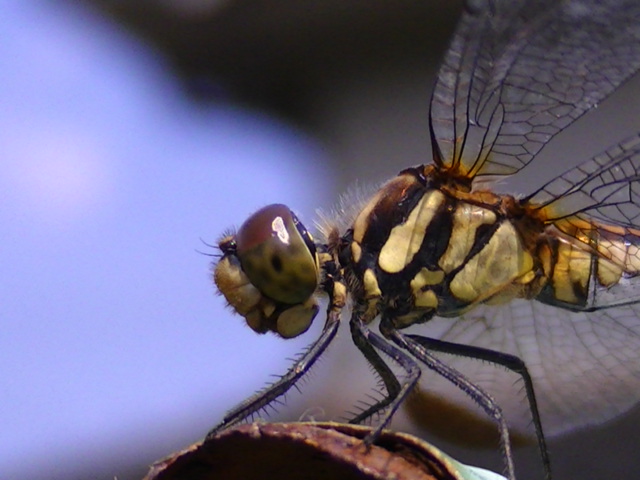 �`���E�`��