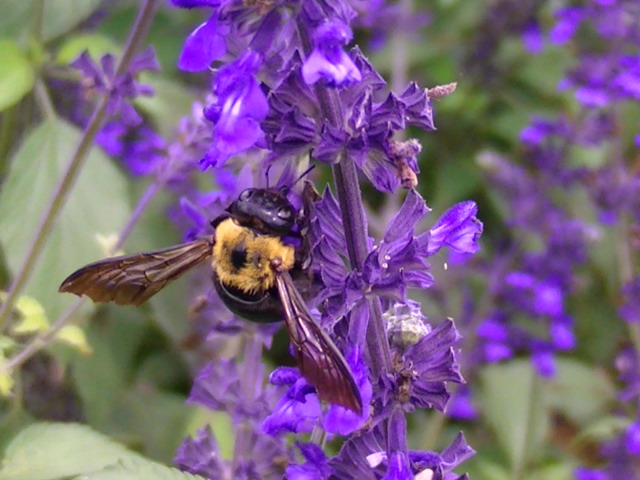 �`���E�`��