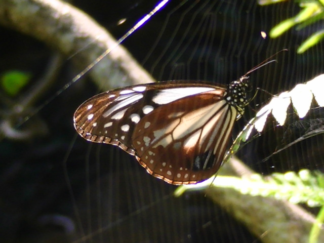 �`���E�`��