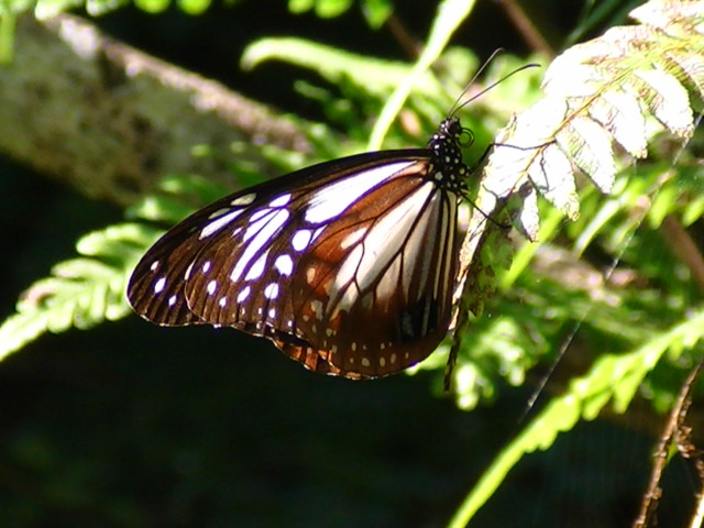 �`���E�`��