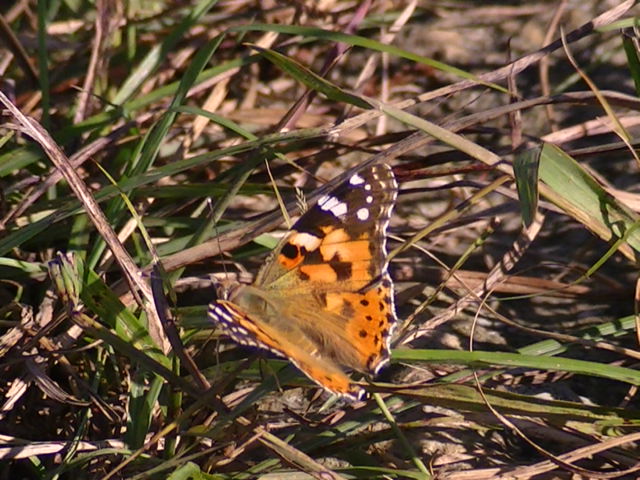 �`���E�`��