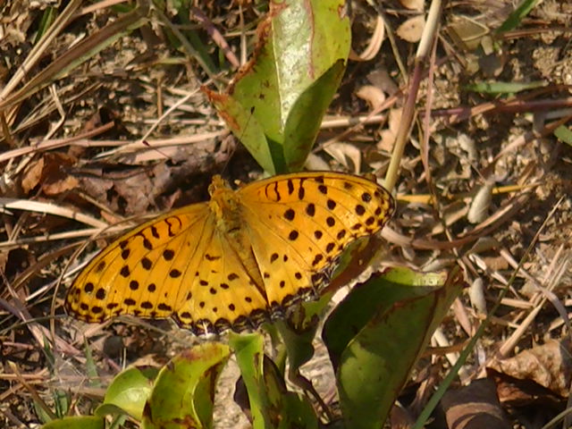 �`���E�`��