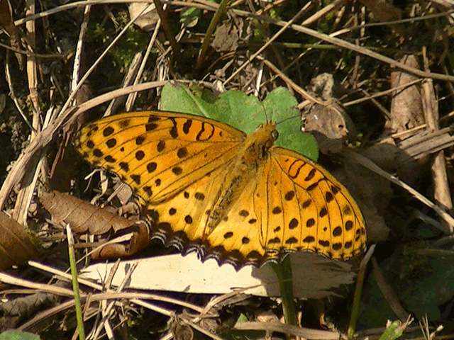 �`���E�`��