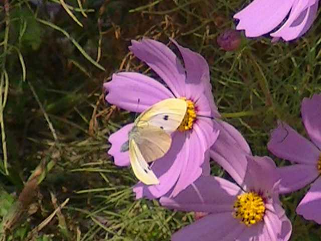 �`���E�`��