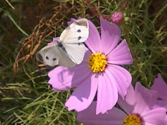 �`���E�`��