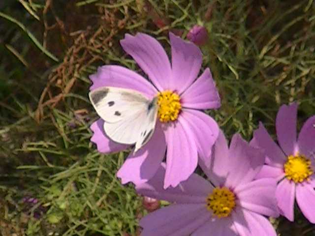 �`���E�`��