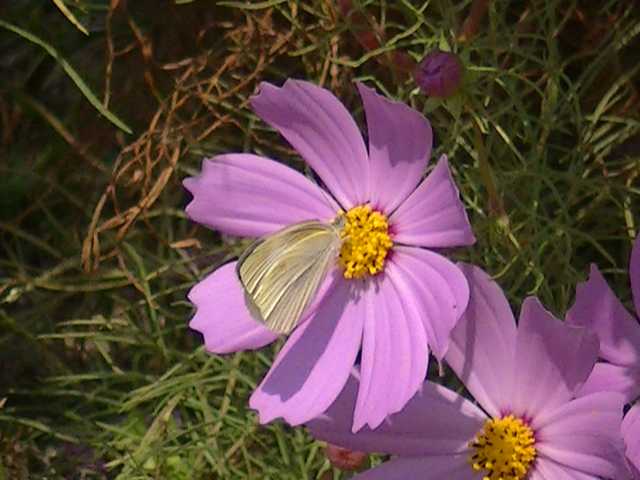 �`���E�`��