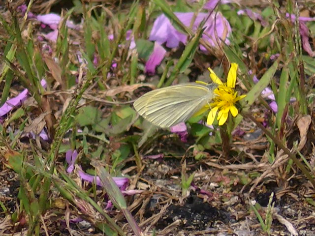 �`���E�`��