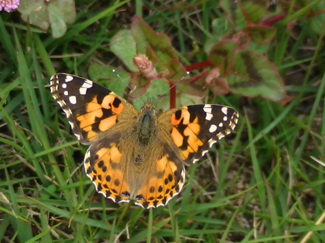 �`���E�`��