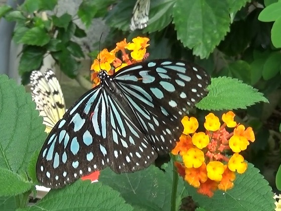 �`���E�`��