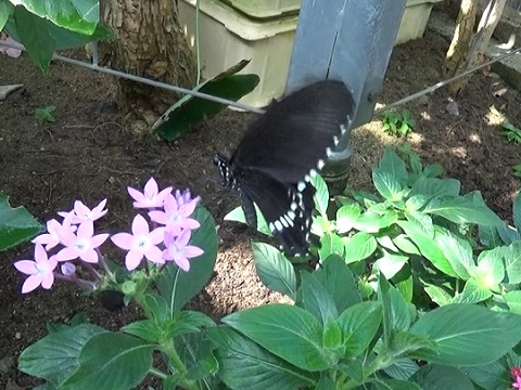 �`���E�`��