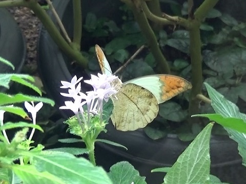 �`���E�`��