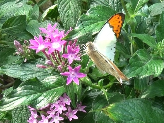 �`���E�`��