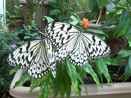 �`���E�`��