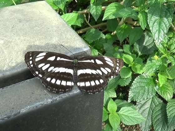 �`���E�`��