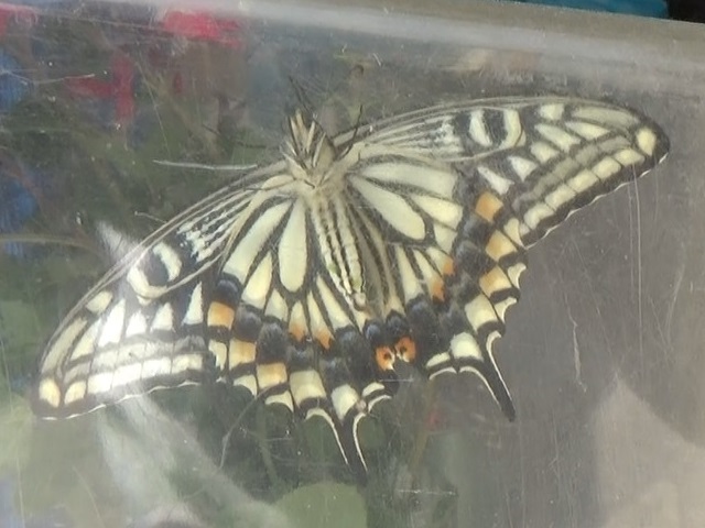 �`���E�`��