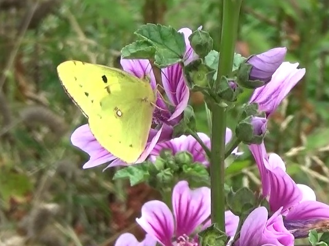 �`���E�`��