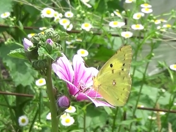 �`���E�`��