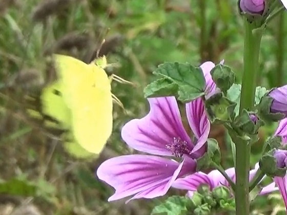 �`���E�`��