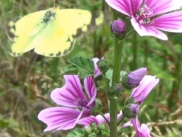 �`���E�`��