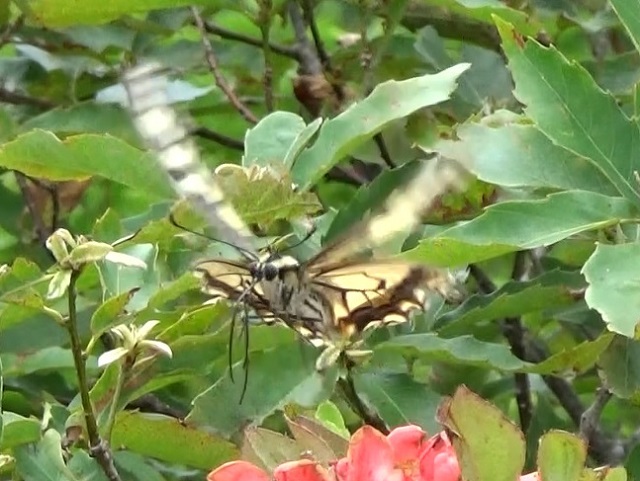 �`���E�`��