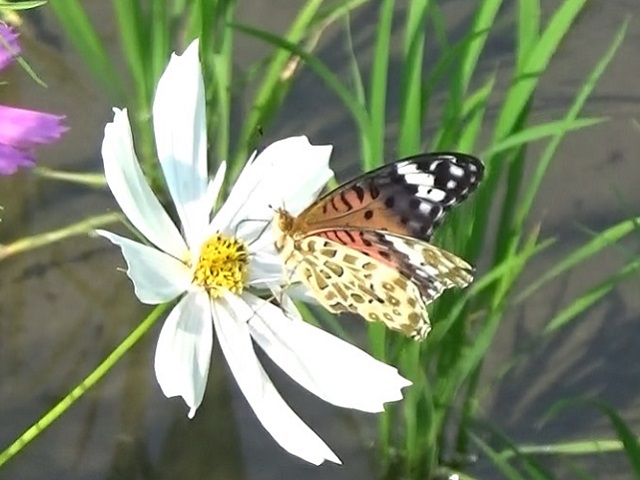 �`���E�`��