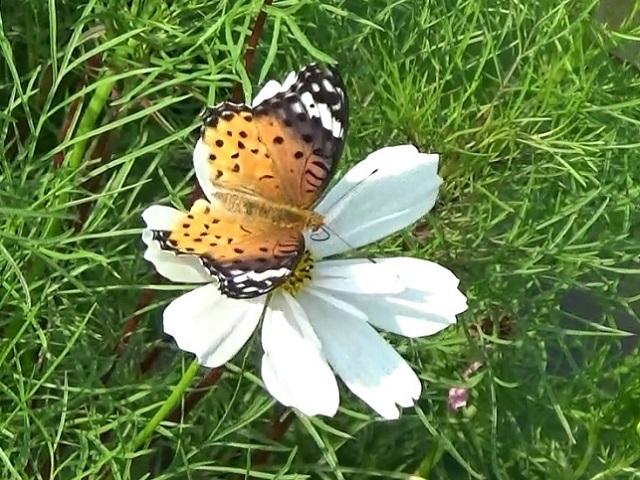 �`���E�`��