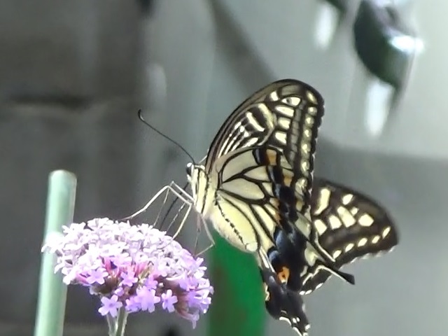 �`���E�`��