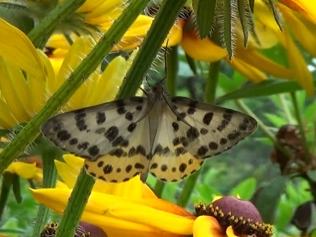 �`���E�`��