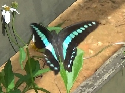 �`���E�`��