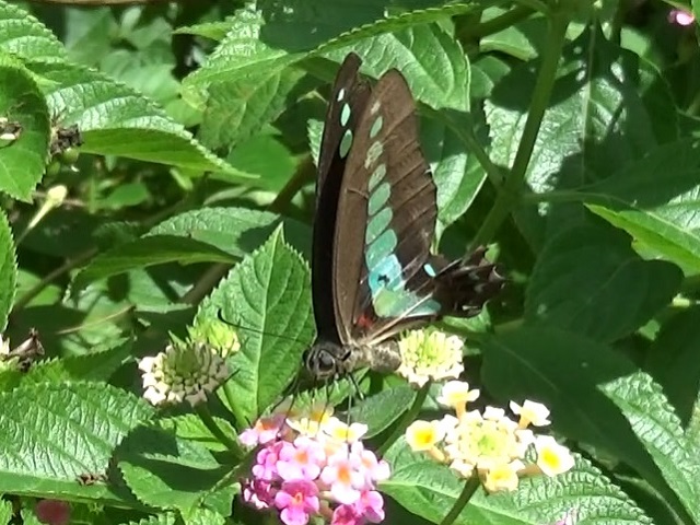 �`���E�`��