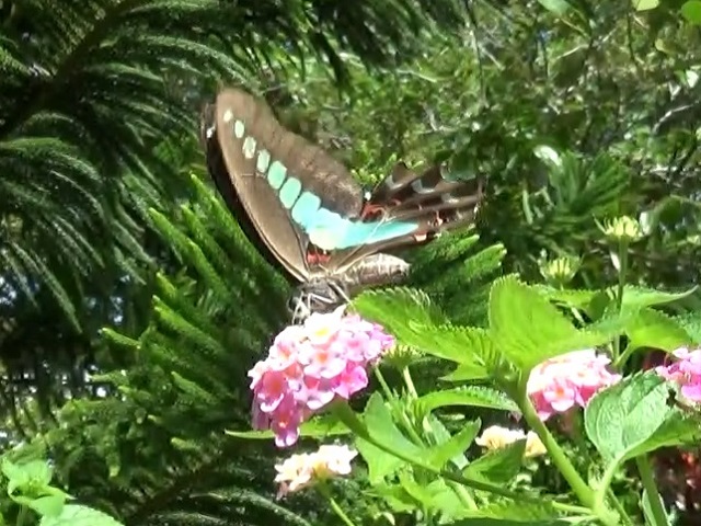 �`���E�`��