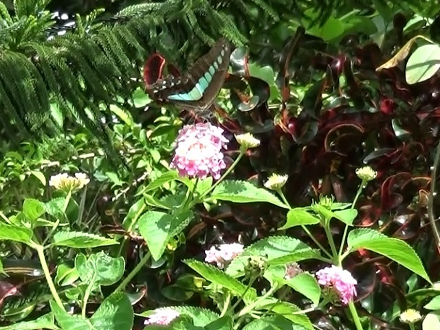 �`���E�`��