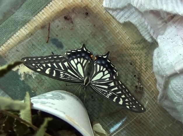 �`���E�`��